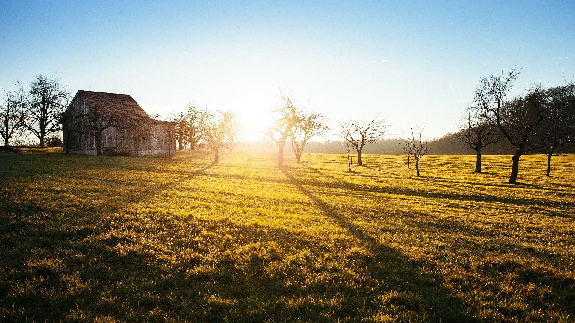 Shed with sunset